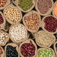 Grains